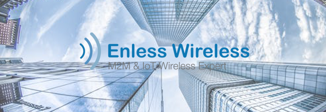 Enless Wireless : turnover doubled in 2018